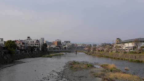 Mejor-Flor-De-Cerezo-En-Kyoto