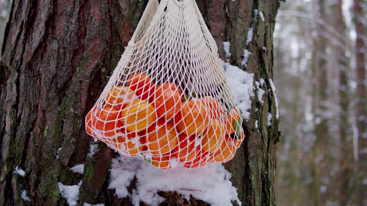 Ovoce nebo zelenina v síťce visící na stromě ve sněhu