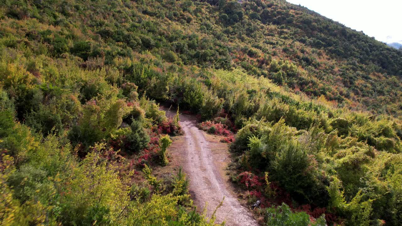 pista todoterreno dentro del bosque de montaña en otoño con follaje colorido en marrón y amarillo