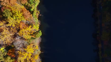 Una-Vista-De-Arriba-Hacia-Abajo-De-Un-Lago-En-Un-Día-Soleado-Con-Coloridos-árboles-Otoñales