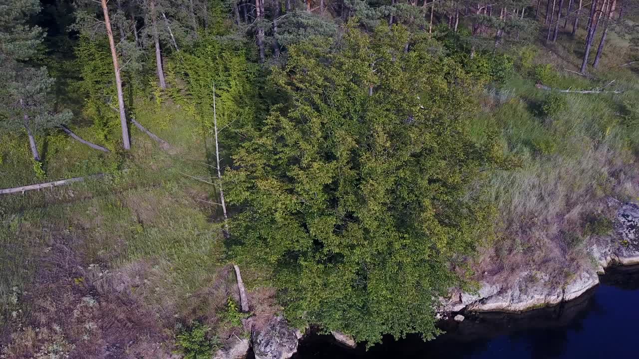Men Running On A Mountain Bike. Professional cyclist riding the bike on the mountain rocky trail