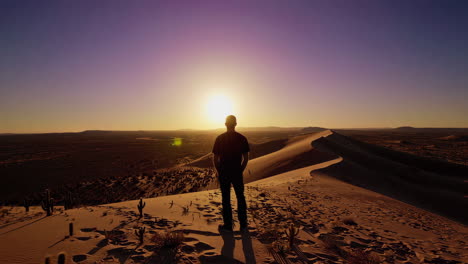 a lone figure stands on a desert dune, silhouetted against a vibrant sunset