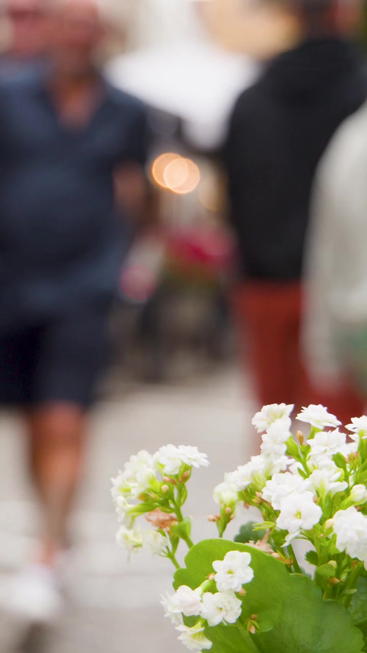 Pedoni passano accanto a fiori bianchi in un vaso, caffè all'aperto, luce diurna soffusa, messa a fuoco ridotta.