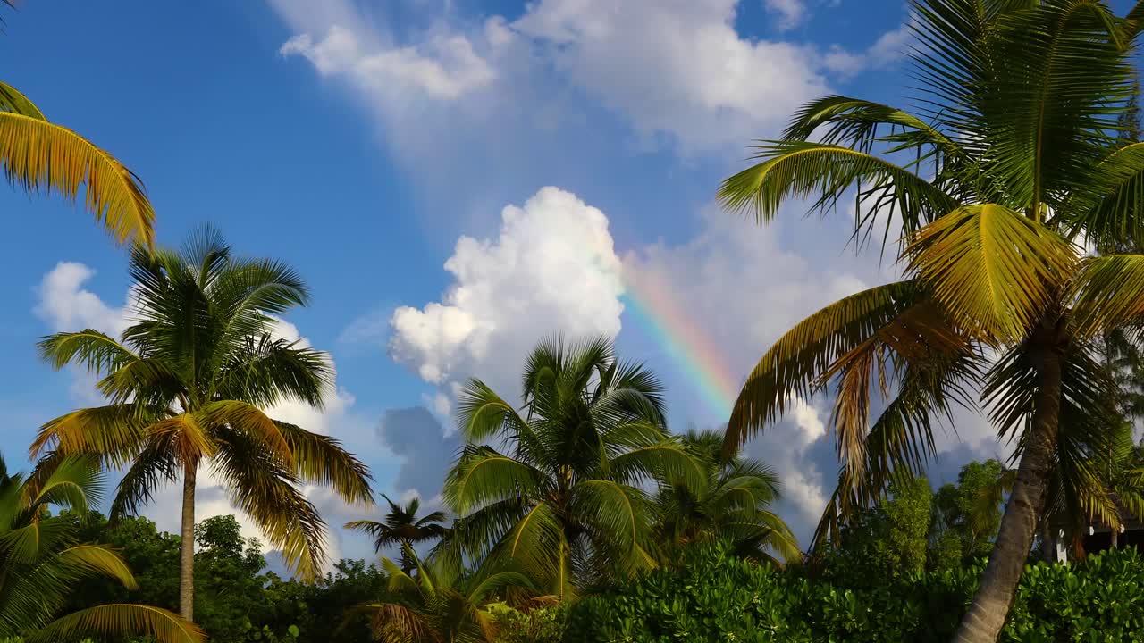 video estático de una escena de playa con un arco iris en exuma bahamas