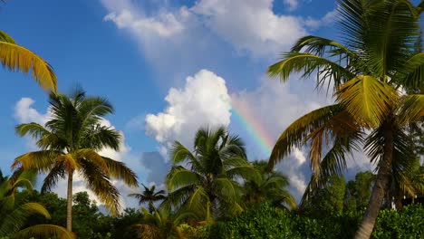 static video of a beach scene with a rainbow in exuma bahamas