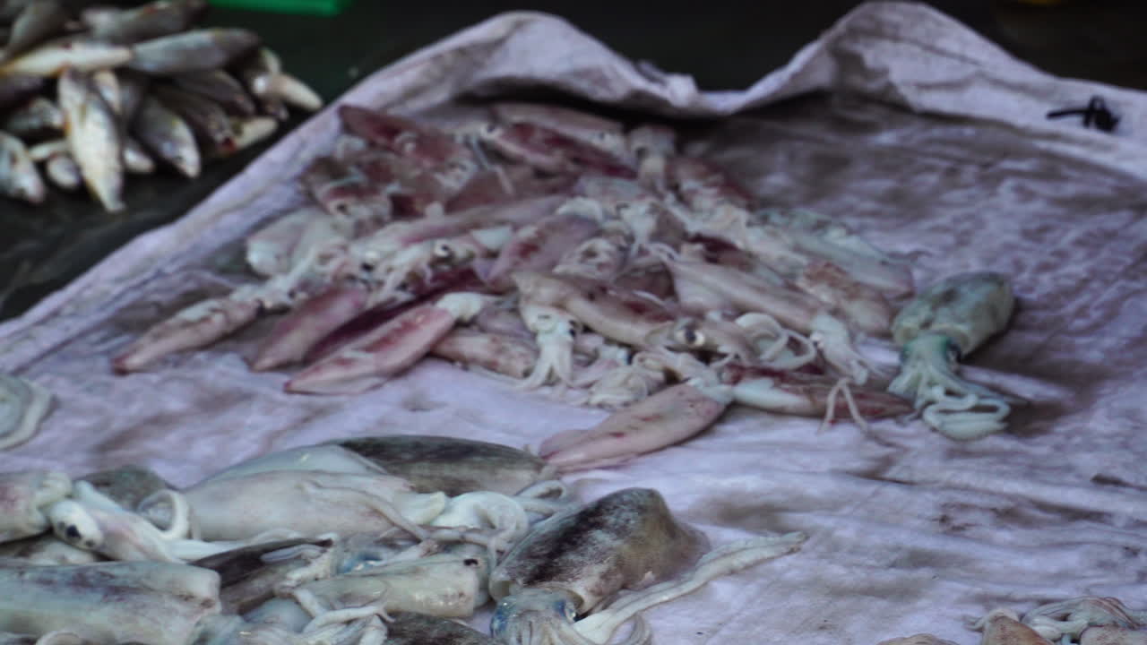 판 티엣 시장에서 판매되는 신선한 오징어의 클로즈업