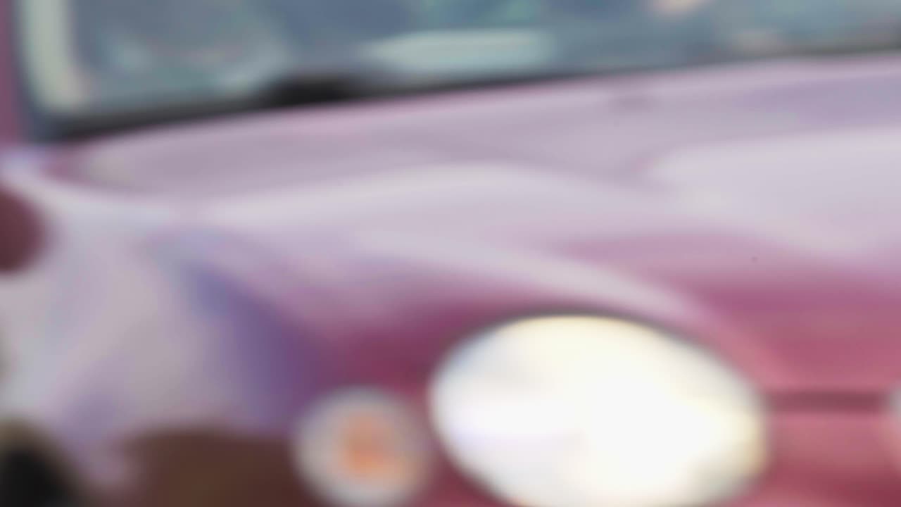 close-up de renos noruegos comiendo hierba con un coche que pasa por la carretera en el parque nacional de anderdalen