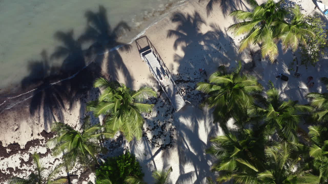 pareja caminando en un muelle de madera en tropical palm beach, fotografía cenital