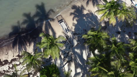 Couple-walking-on-wooden-pier-on-tropical-palm-beach,-overhead-shot