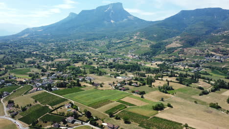 aerial view of a picturesque valley with vineyards and mountains