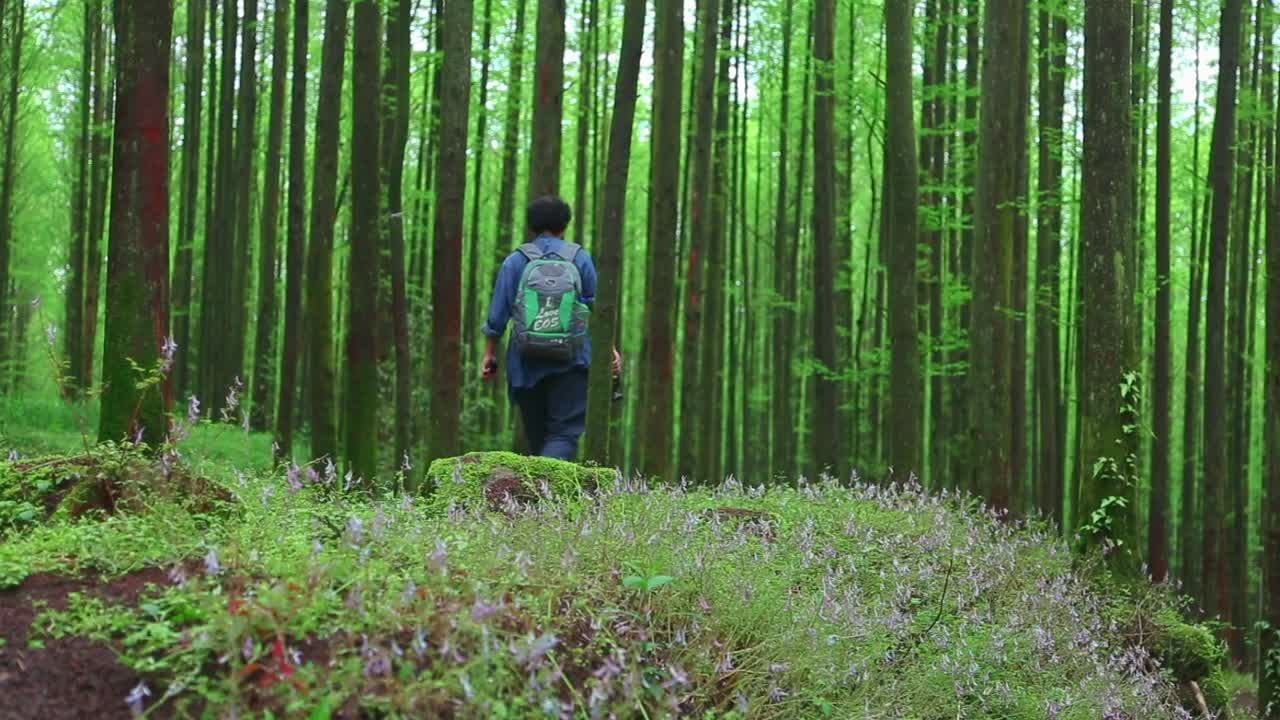 혼자 대나무 숲을 기록하는 동영상 블로거, 정글을 걷는 등산객의 클로즈업 샷