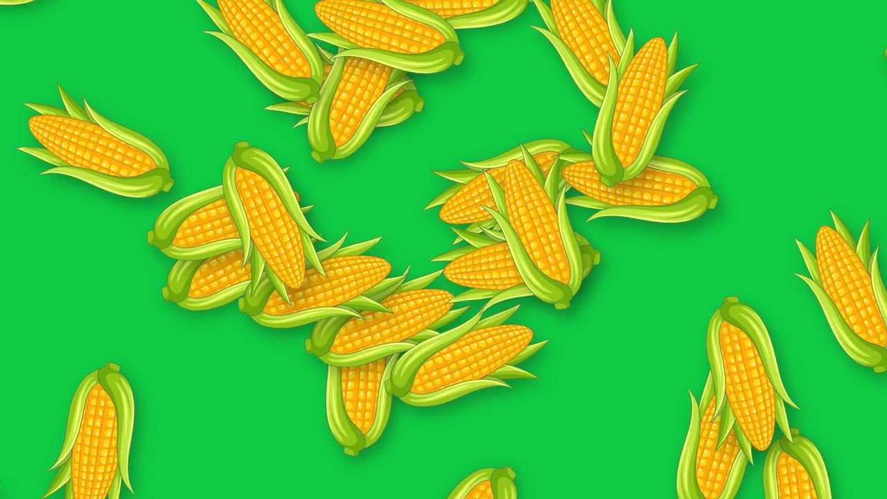 Animated corn cobs fall and tumble across a solid green screen in a seamless loop.