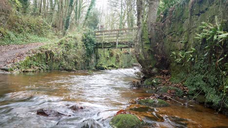 Alter-Ländlicher-Kupfermine-Fluss,-Der-Unter-Waldwald-Wildnis-Brückenüberquerung-Fließt