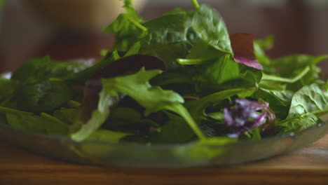 imágenes en cámara lenta de hojas frescas de ensalada verde cayendo en un montón en un plato