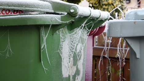 close-up of a massive spider web on a bin