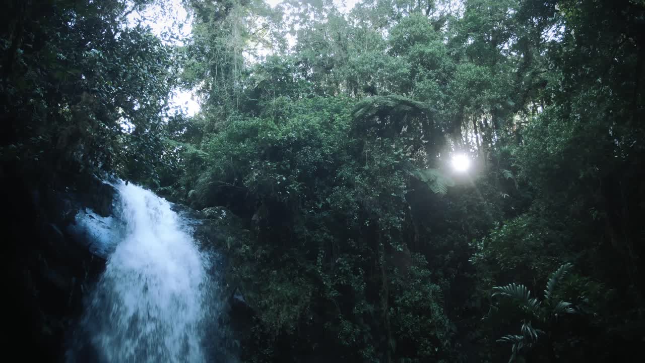 A waterfall and the sun shines through the trees in a rainforest