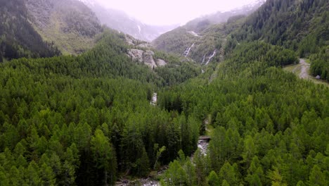 aerial take of a valley full of trees in the italian alps, aosta valley