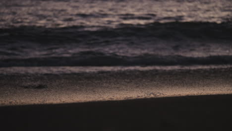 handheld shot of waves washing over beach at dusk, shallow dof