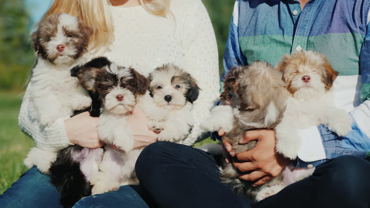 귀여운 강아지를 안고 있는 커플