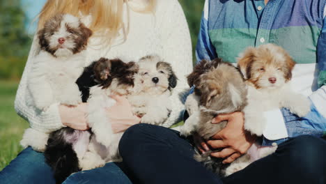 couple holding cute puppies