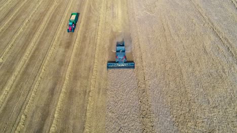 a golden field of spring barley being harvested on a beautiful english summer's day, the epitome of rural life in england