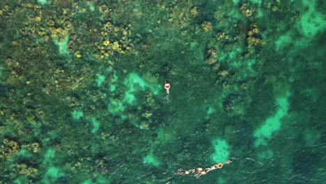 4k drone ascending from girl snorkeling at reef, coron, palawan philippines 2