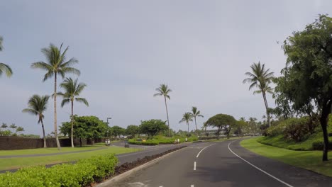 driving on the road in hamakua of hawaii surrounded by palm trees and tropical landscape, pov.