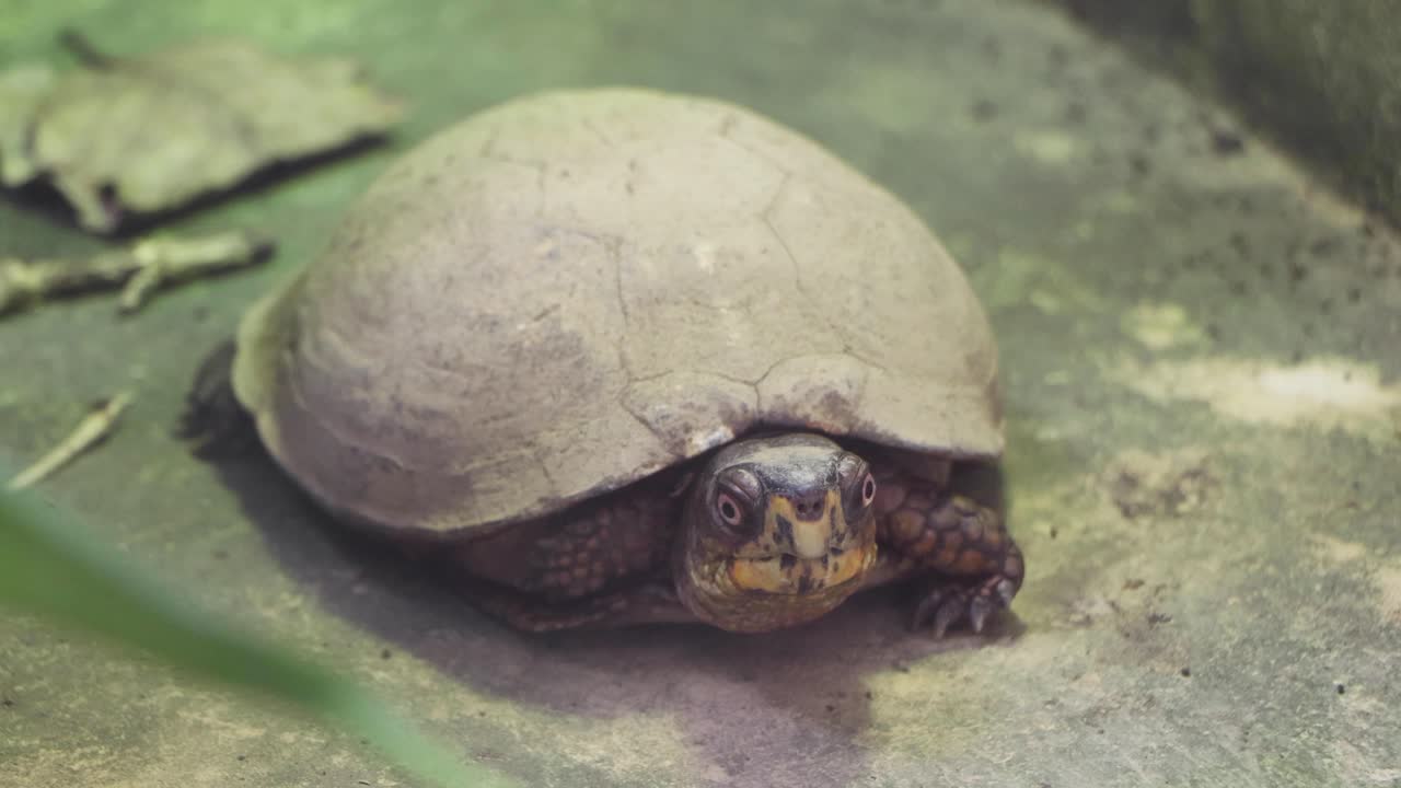 The best view in Yokohama