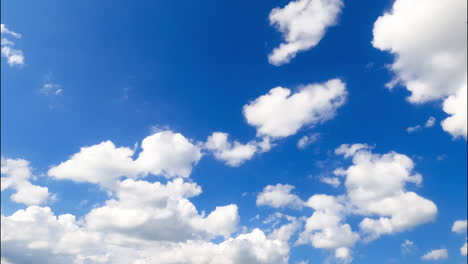 little separate white clouds move in the atmosphere. low angle view at the bright summer sky with floating clouds. timelapse.
