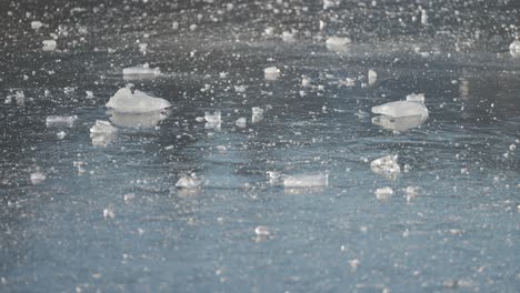 rays of the low winter sun illuminate shards of ice covering the frozen pond, creating a dancing light effect