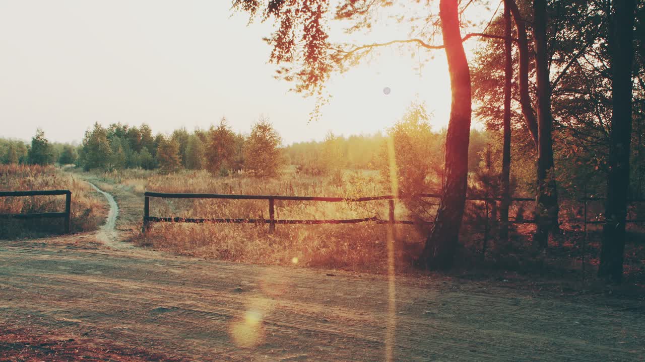 Waldweg unter Sonnenuntergangsstrahlen. Weg führt durch den herbstlichen Laubwald bei Morgenröte oder Sonnenaufgang