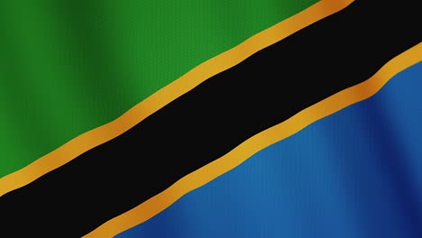 tanzania flag waving animation. full screen. symbol of the country