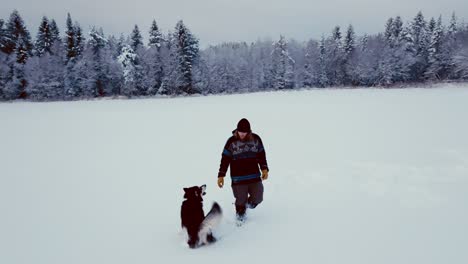 alaskan malamute dog and his owner walking in snowy landscape - wide shot