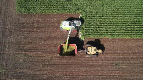 una operación agrícola en ne wisconsin corta y recolecta maíz para ensilaje
