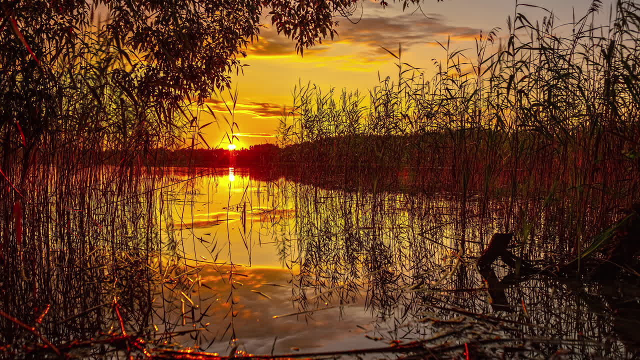 lapso de tiempo cinematográfico de la puesta de sol detrás de un lago con hermosas plantas en el cielo y la hierba en el frente