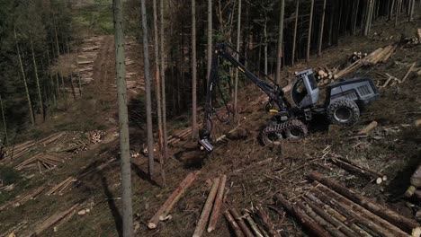 vista de arriba hacia abajo del equipo de tala en acción en el bosque - bosque de abetos de procesamiento
