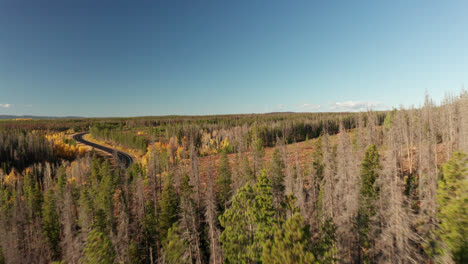 northern colorado drone footage of fall colors in the mountains