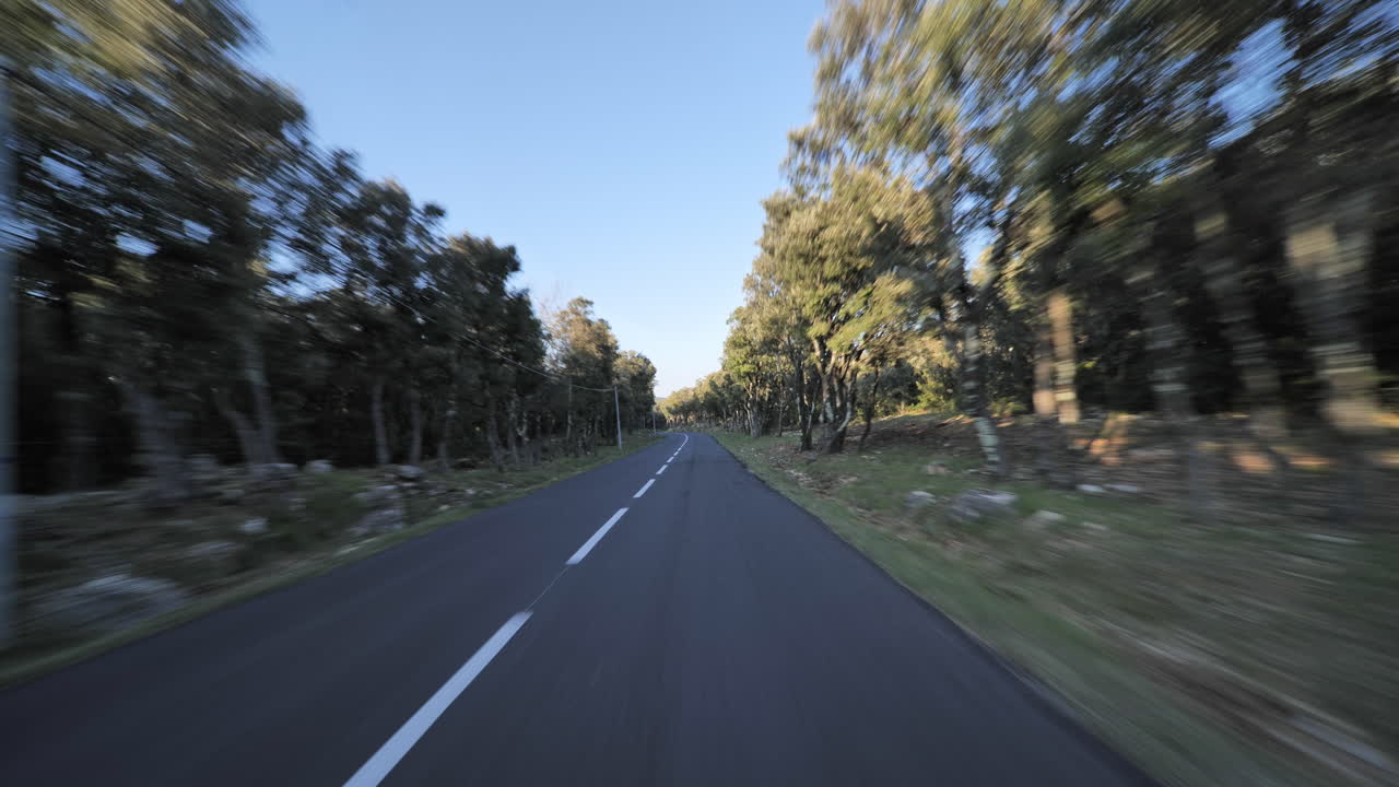 Estrada que atravessa rapidamente a floresta no sul da França em um fim de tarde ensolarado.