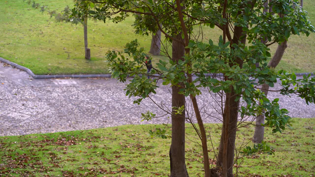 Senior woman walking in park