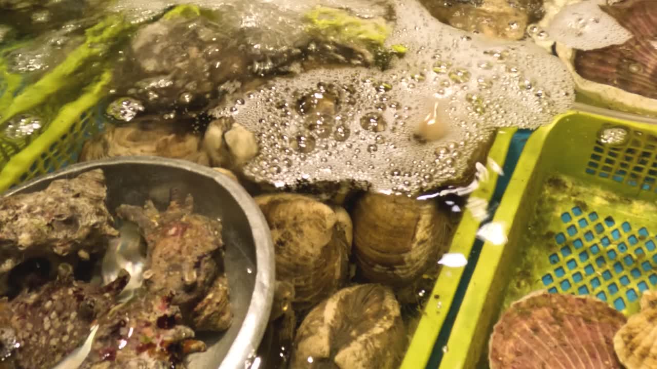 Close-up of various shellfish submerged in water with bubbles and a metal container.