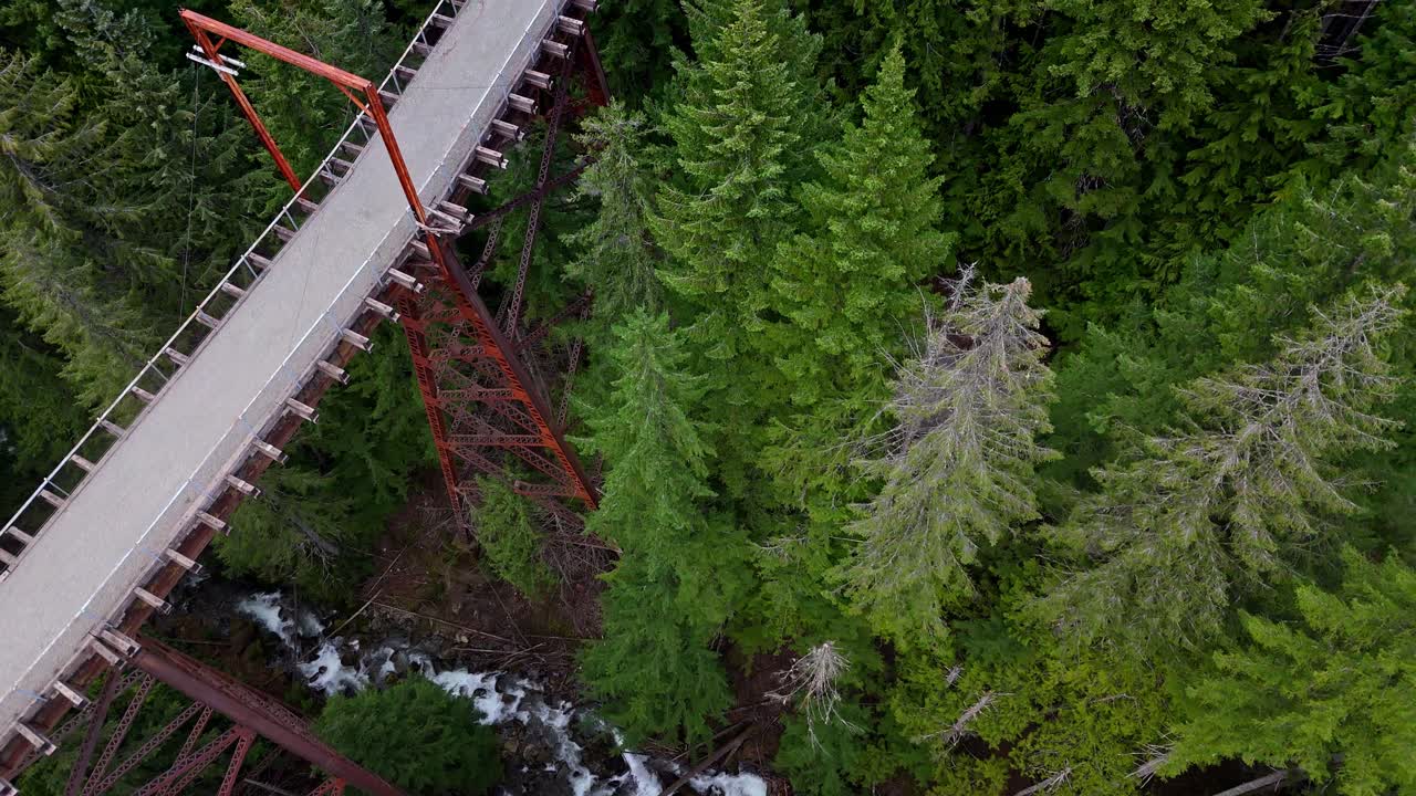 vista de pájaro del puente sobre el río que fluye en el denso bosque perenne en snoqualmie, estado de washington