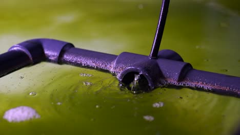 water bubbles escaping a pipe in water tank, aquaculture oxygenation