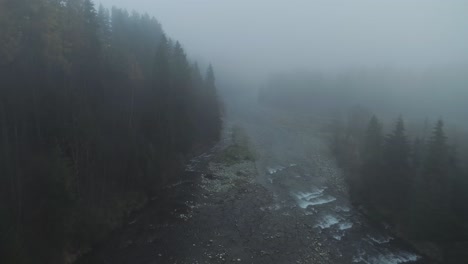 mystical eerie forest with small river during mist, aerial under fog