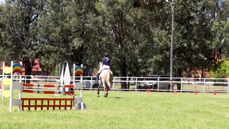 horse and rider jumping over obstacles