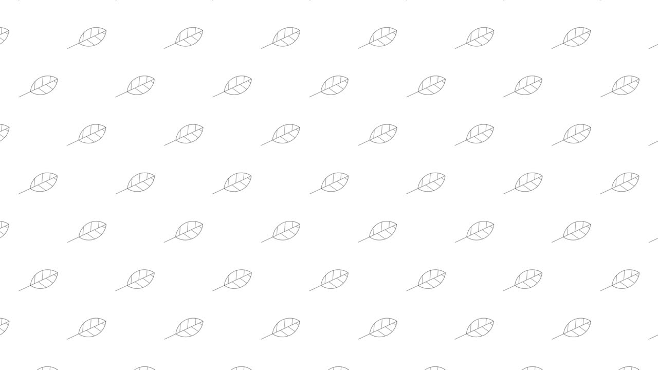 hojas de olmo iconas de líneas delgadas negras en un fondo blanco. patrón gráfico de movimiento de bucle sin costuras con hojas animadas en cuadrícula geométrica
