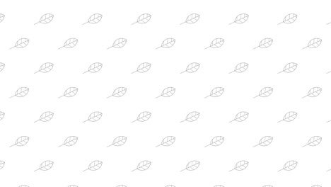 elm tree leaves black thin line icons on a white background. seamless loop motion graphic pattern with animated leaves in geometric grid