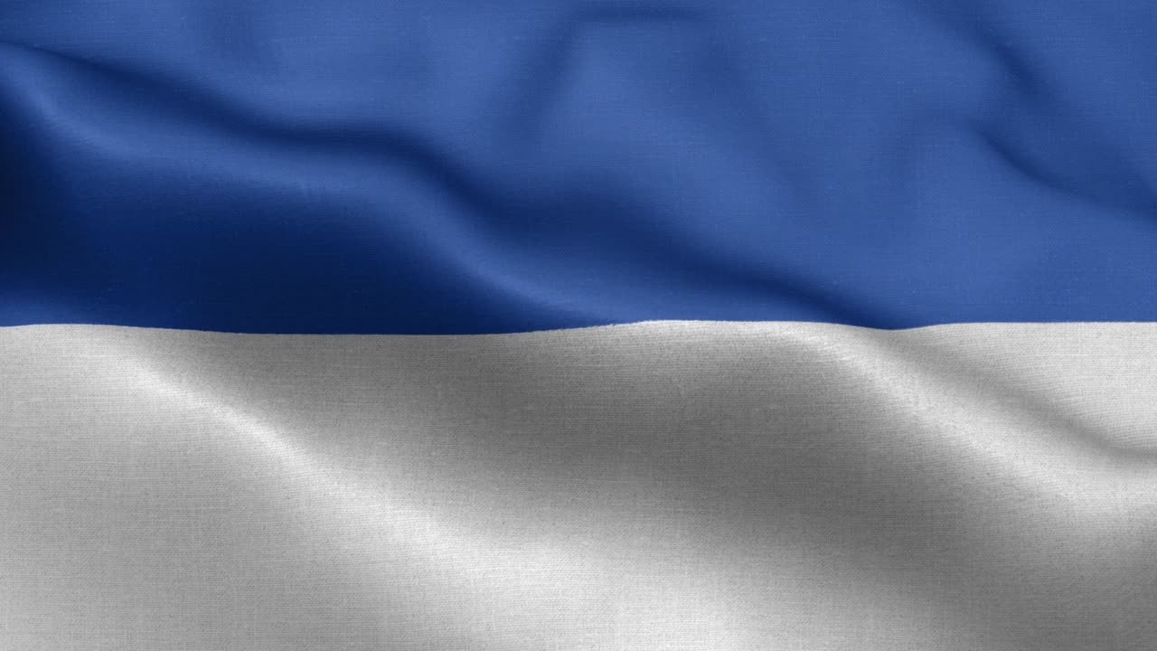 보의 발, 북 라인-베스트팔렌 - 독일 국기 - 독일 지방 발 - 독일 - 발 파동 패턴 루프 가능한 요소 - 느린 동작 촬영 발  - 루프 준비 완전 화면 발은 느린 움직임으로 흔들리고 있습니다. 현실적인 3d 애니메이션