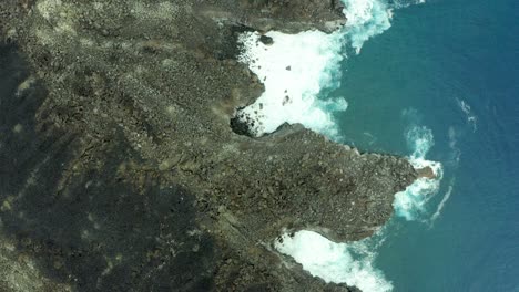 Fan-shaped-rocky-tendrils-of-San-Benedicto-Revillagigedo-Islands-Mexico,-aerial-top-down