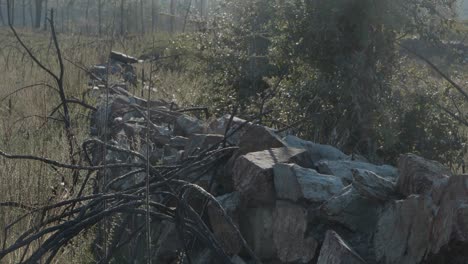 muros de piedra en el bosque