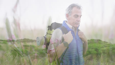 Animation-of-spinning-meadow-over-senior-man-hiking-with-backpack